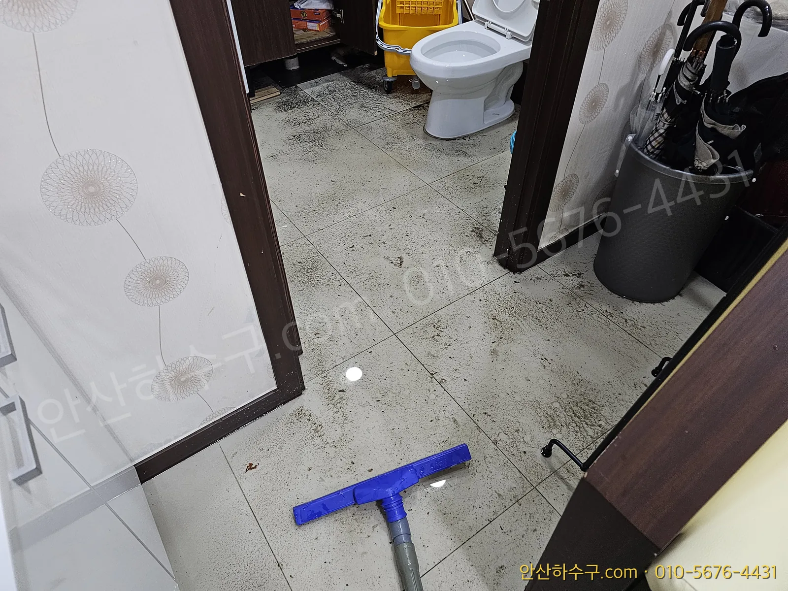 역류했던 물의 잔수 처리까지 마치고 정리한 화장실 바닥